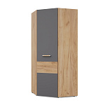 МС Виора модуль В59 (золотой дуб/графит)