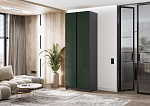 Келвин Шкаф 2-х ств. (800) (Изумрудный, Графит)