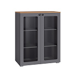 Остин Шкаф-витрина 16.394.01 (Серый Графит 0162 РЕ, Дуб Золотой CRAFT, графит ZB 856-2 ПВХ)