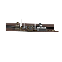 , Магнолия Полка