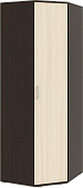 распашной шкаф, Белла Шкаф угловой