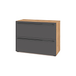 МС Стоун модуль С81 (золотой дуб/графит)