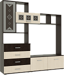 Гостиная Белла (гостиная) (Дуб беленый/Венге, Венге)