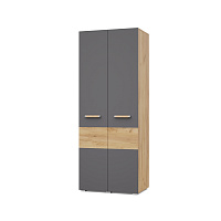 , МС Виора модуль В20